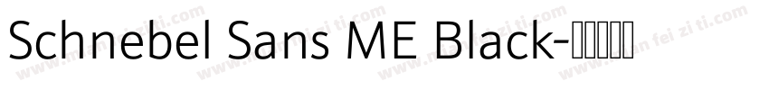 Schnebel Sans ME Black字体转换